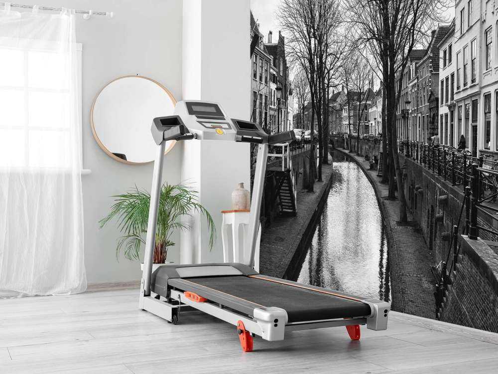 Utrechtse gracht in zwart-wit