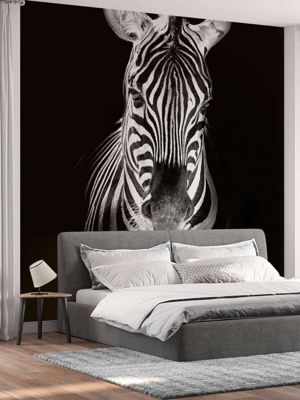 Close-up zebra black and white