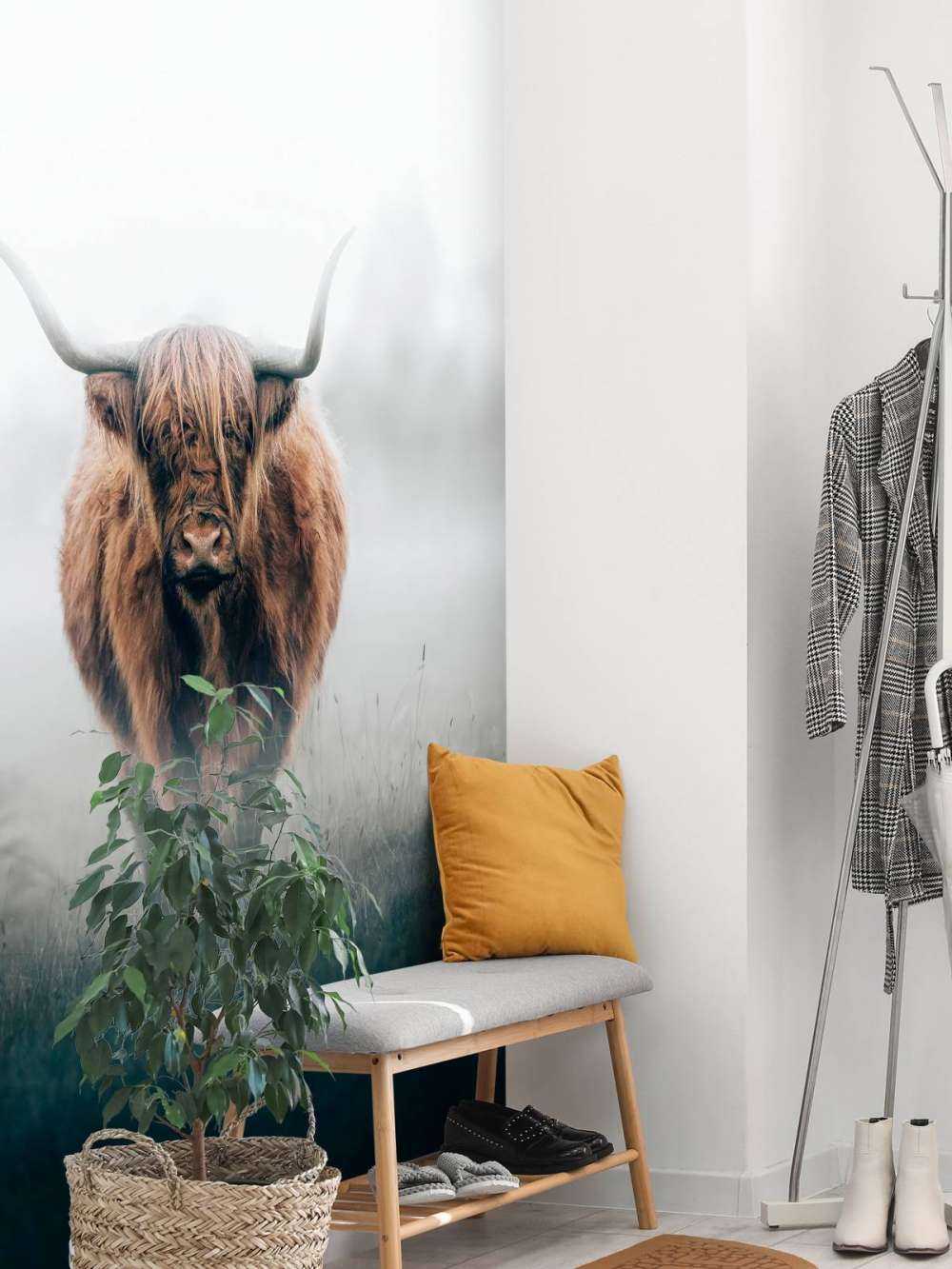 Scottish highlander in dense fog