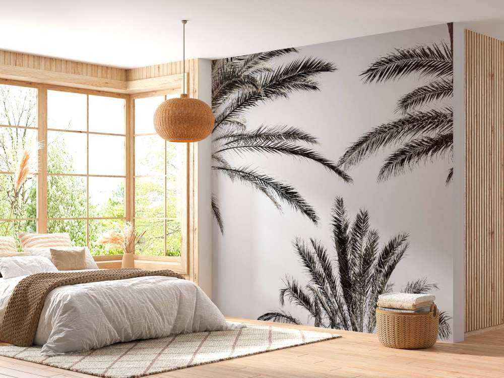 Palmtrees in the sun