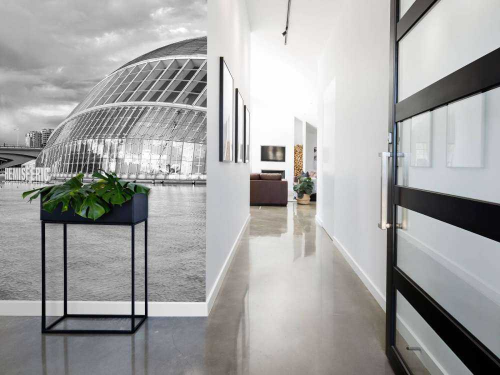 Opera House - Palau de les arts Reina Sofia & Hemisfèric - Valencia