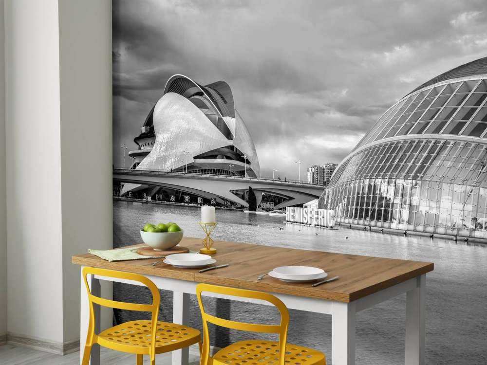 Opera House - Palau de les arts Reina Sofia & Hemisfèric - Valencia