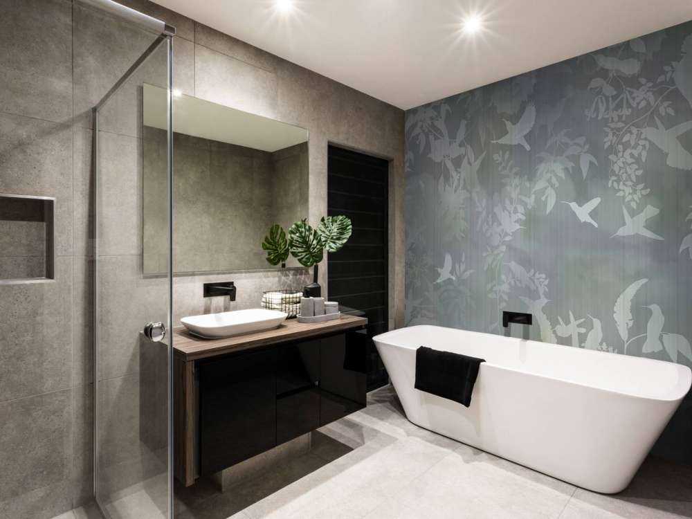 Bırds ın the fog 2