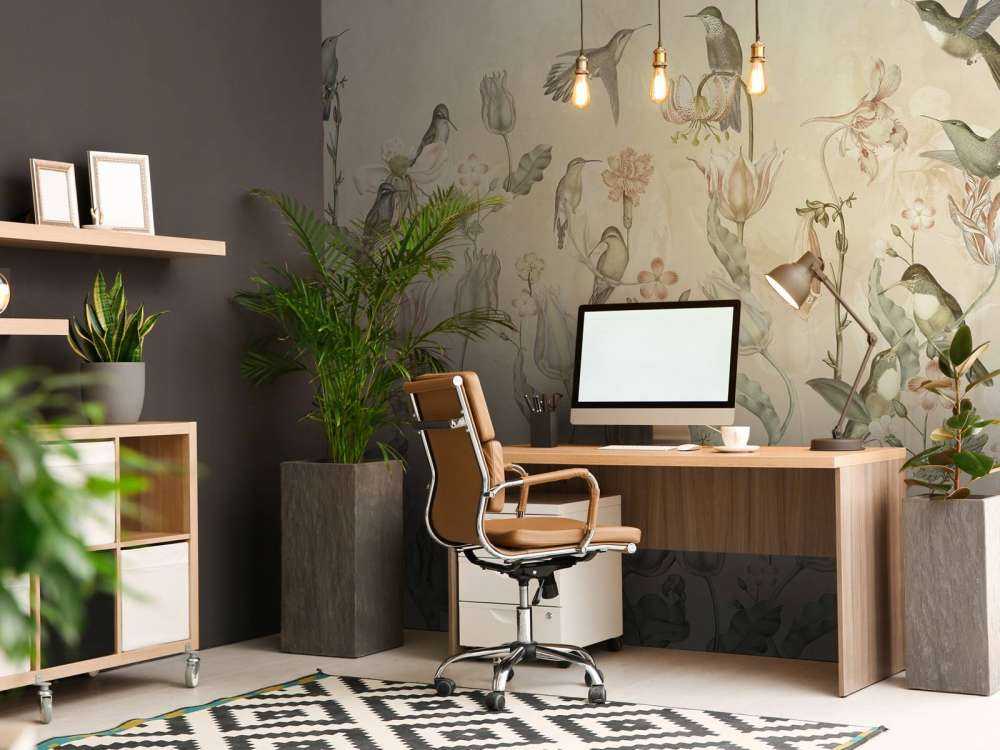 Spring Hummingbird Symphony - Desert Whisper