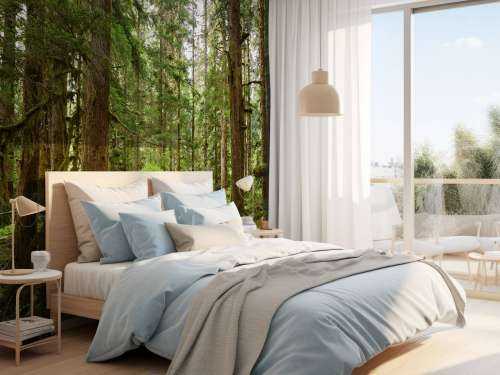 Wild forest
