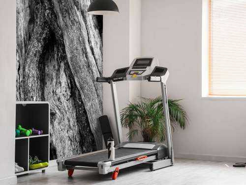 Black tree