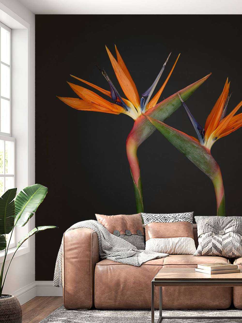 Oranje paradijsvogel bloemen