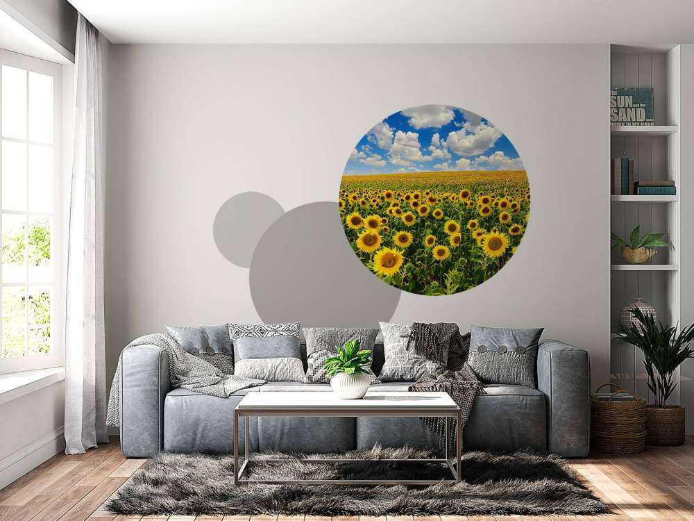 Zonnebloemveld onder een heldere lucht