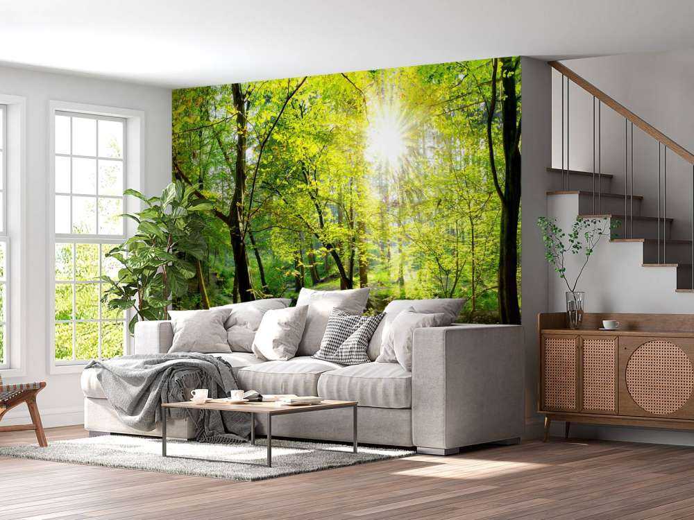 Forest with brook