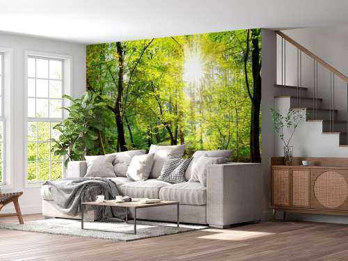 Forest with brook