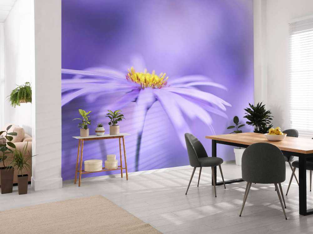 Purple Daisies