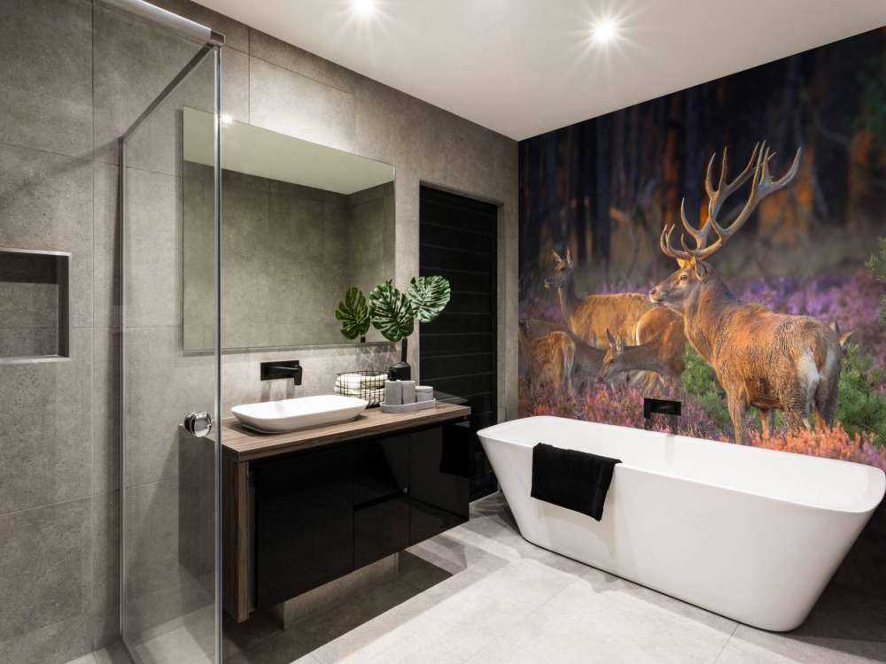 Groep herten op de Veluwe