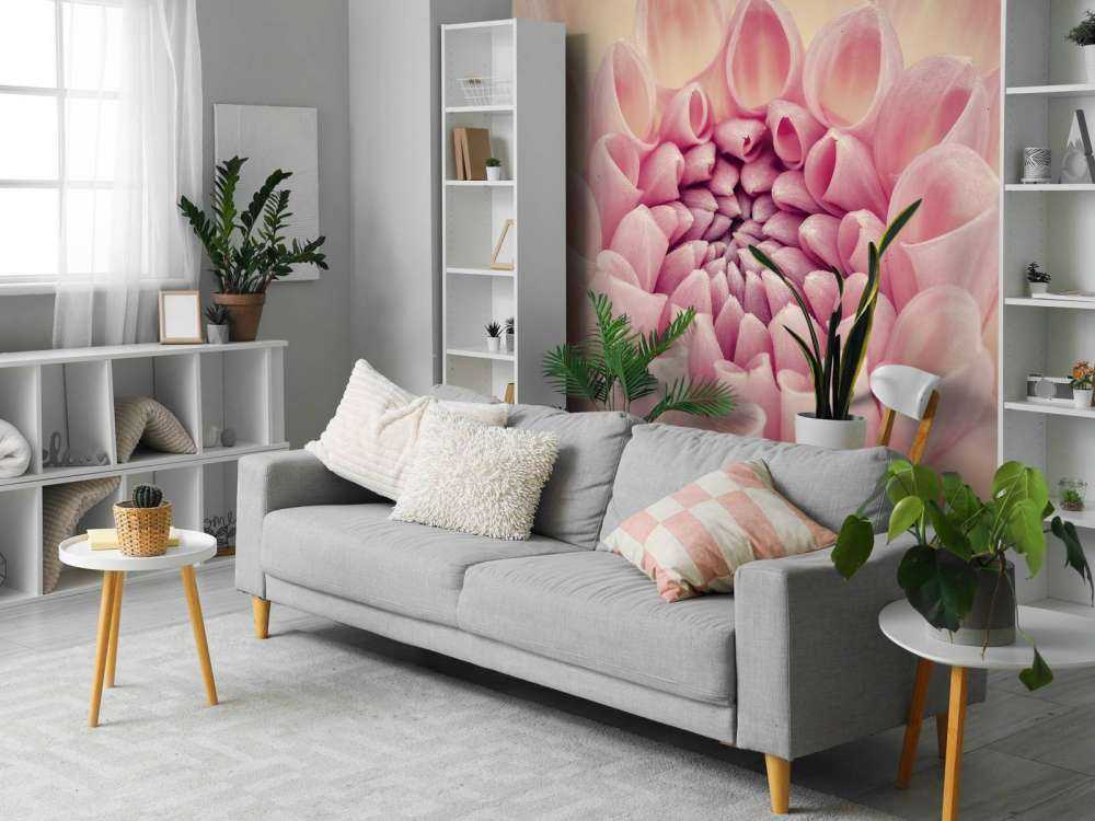 Dahlia close-up photo