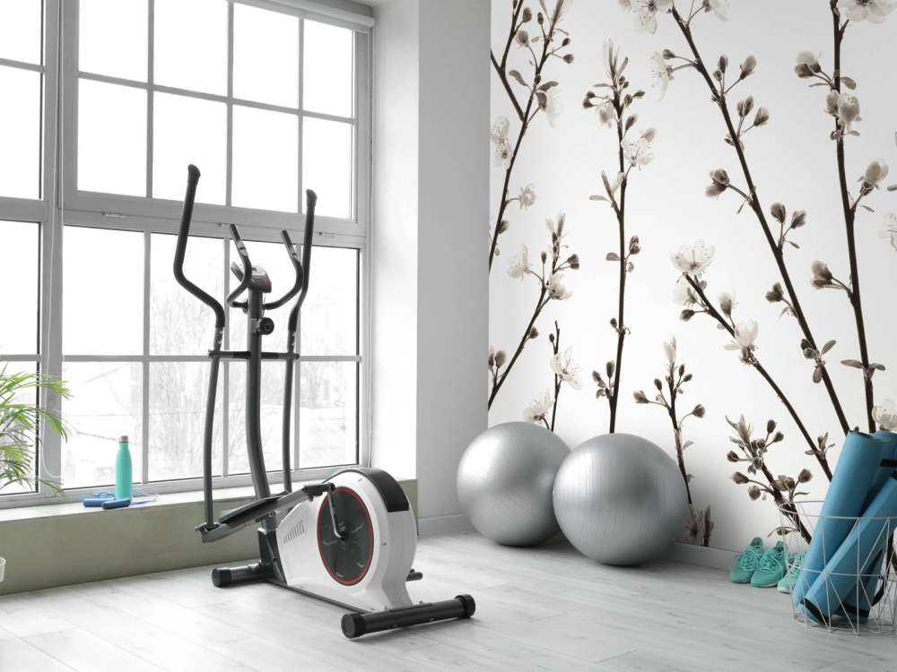 Cherry blossom branches