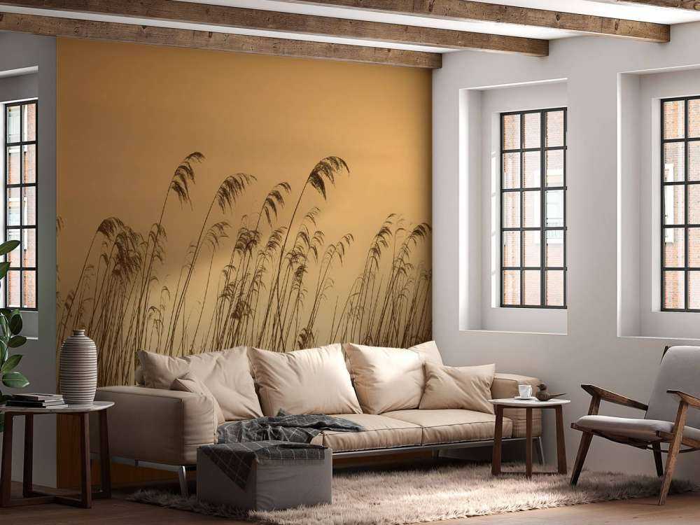 Reed along the waterfront