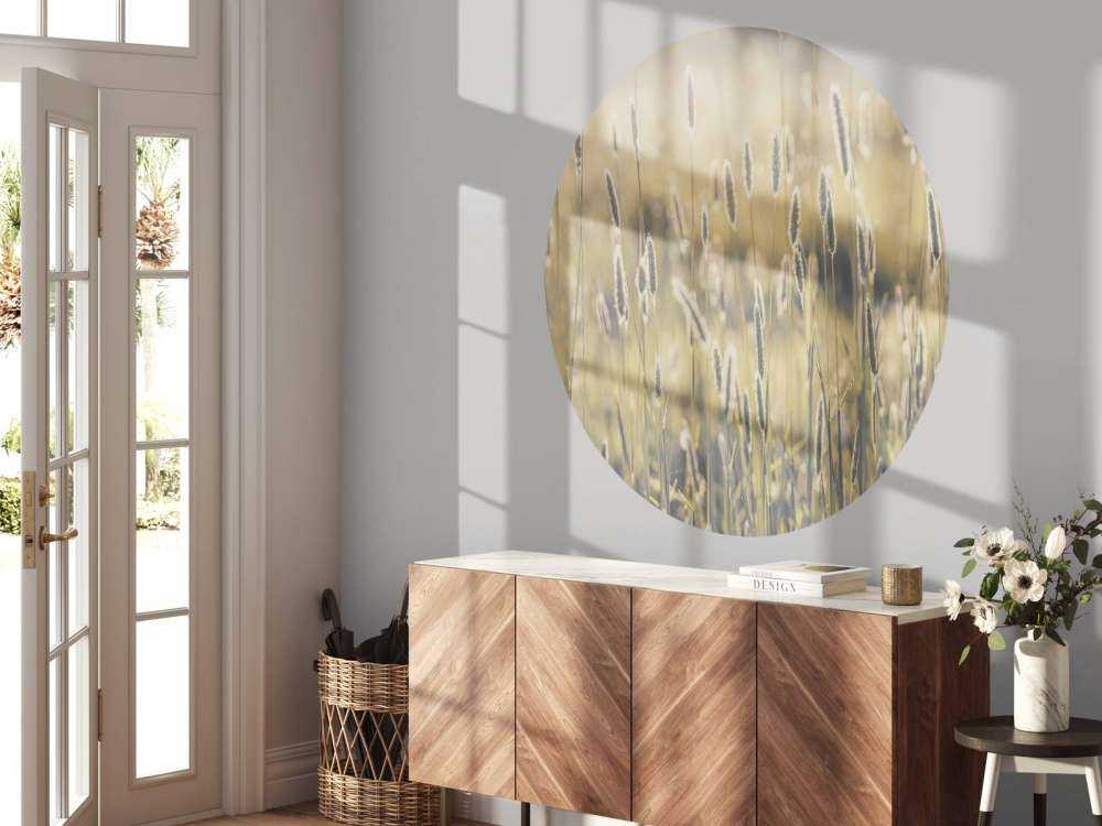 Summer meadow close-up