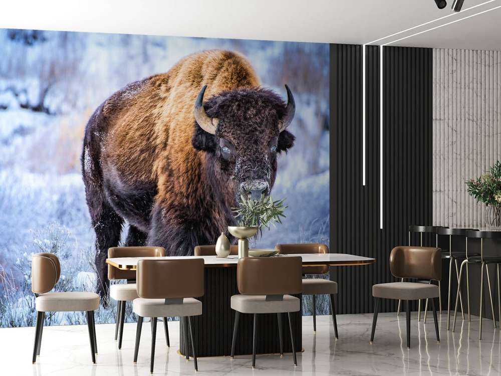 Bison