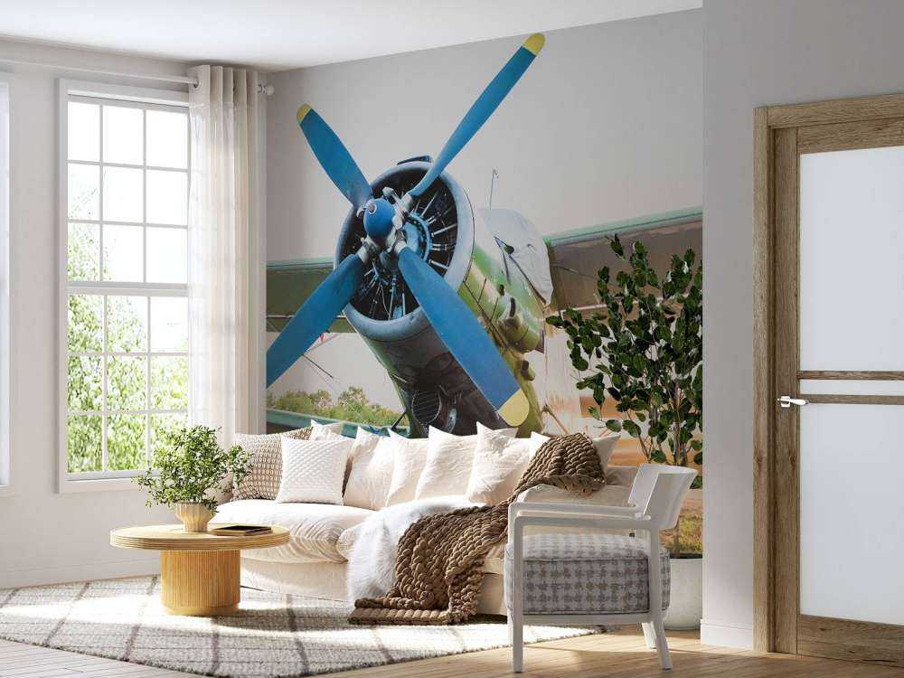 Small single-engine private plane