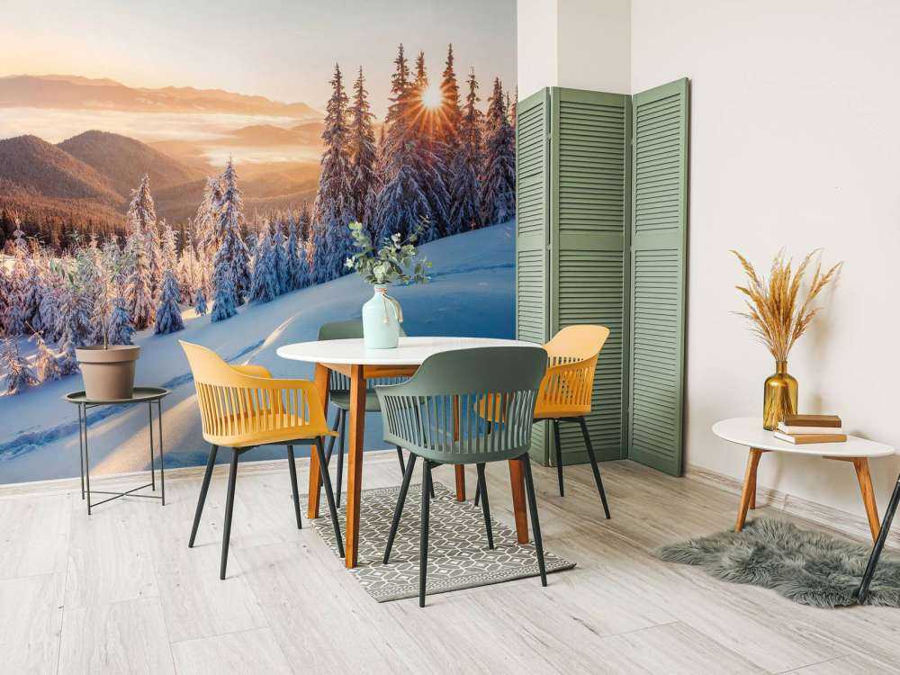 Winter morning in the mountains