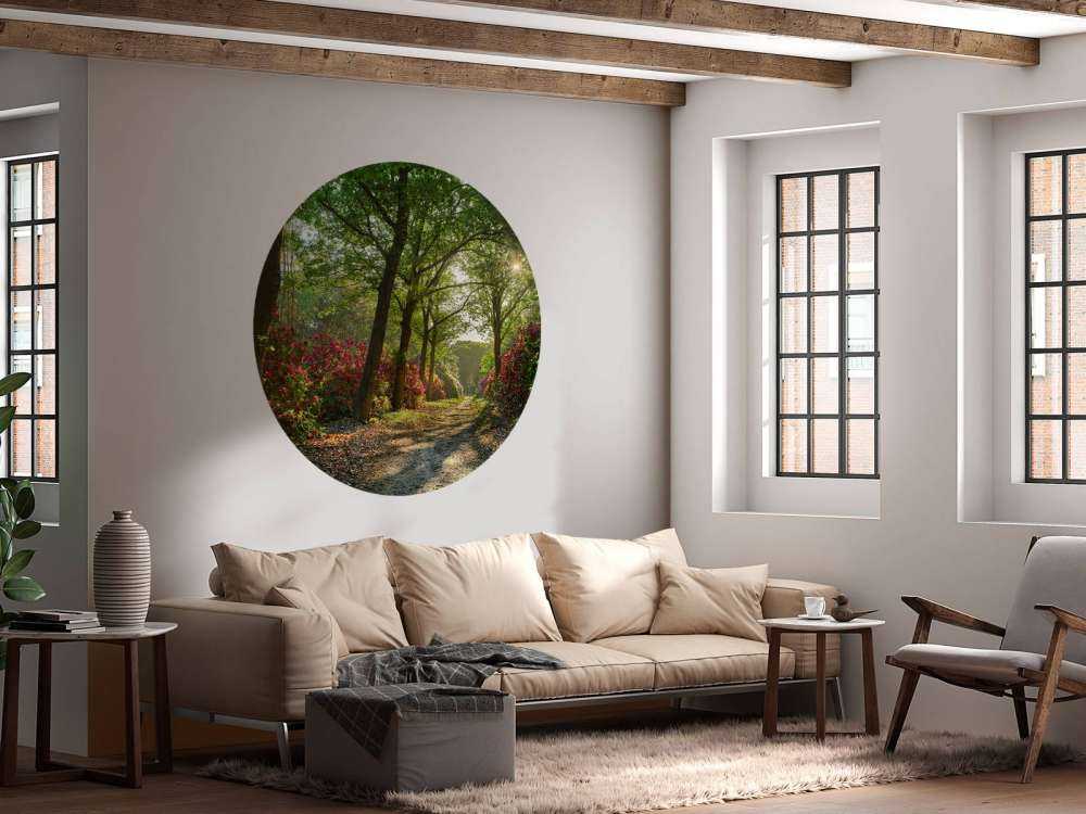 Sunrise at path with rhododendrons