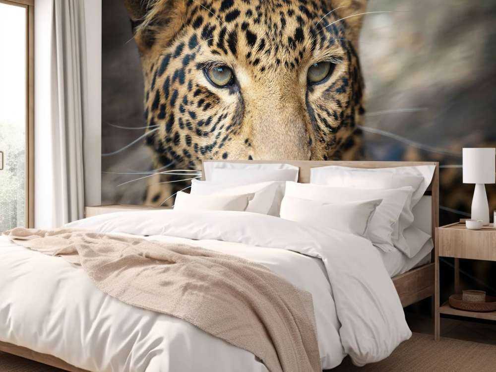 Close, up of a leopard