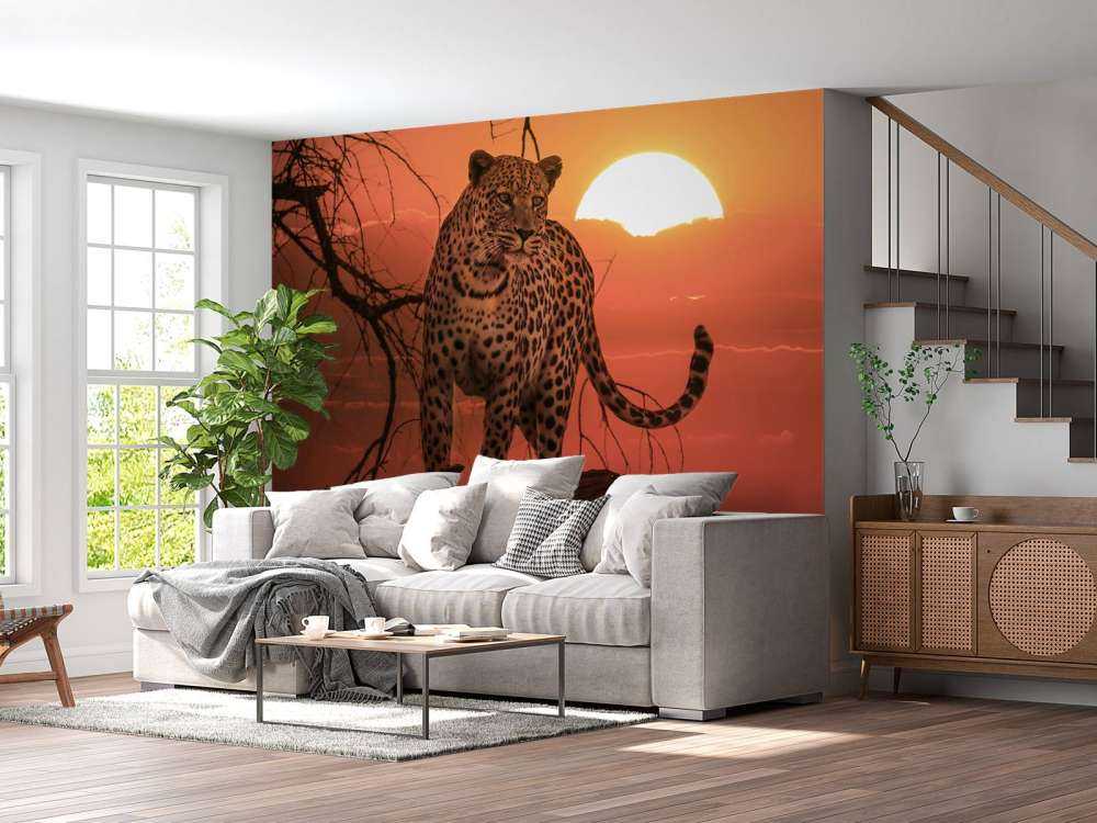 Leopard with setting sun
