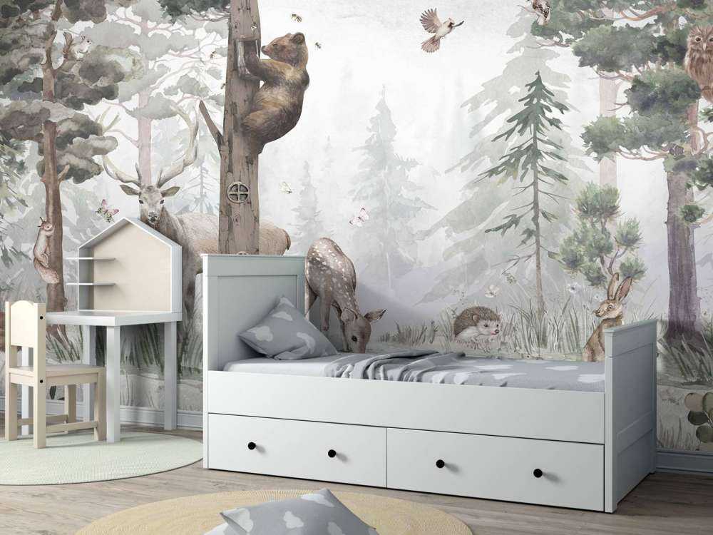 Wildlife in the Middle of the Forest
