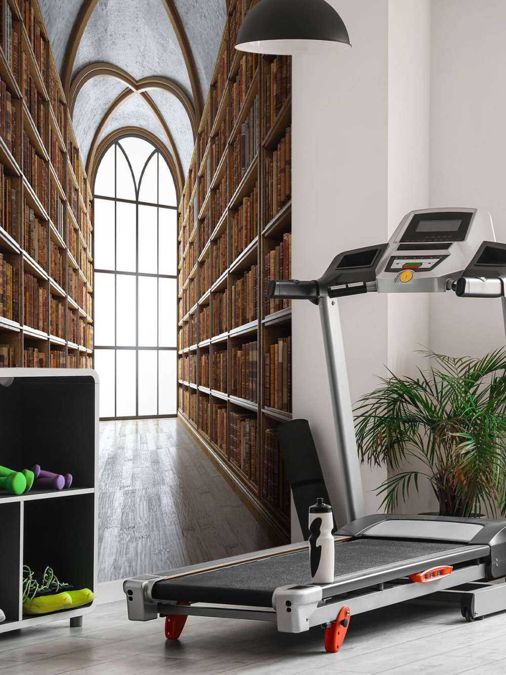 Medieval library hall