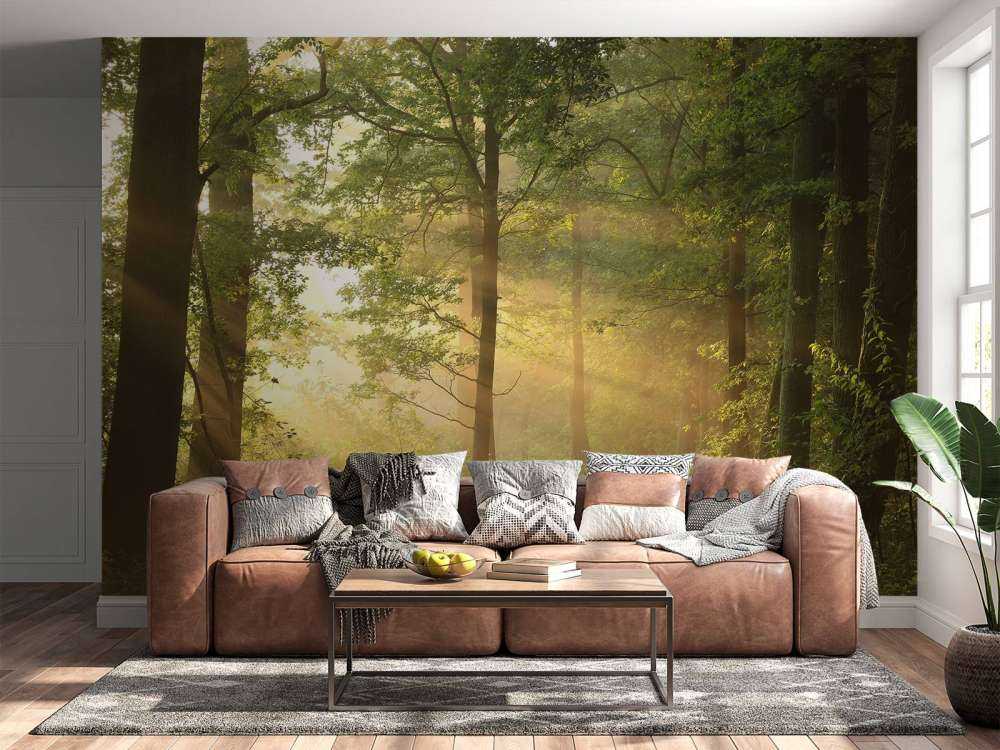 Misty spring morning