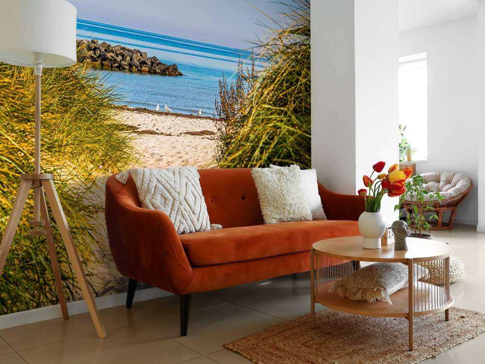 Beach at the Baltic Sea Coast