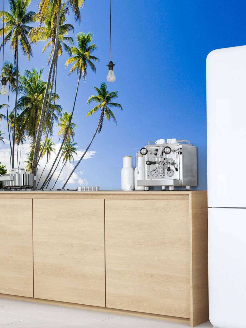 North coast of Trinidad