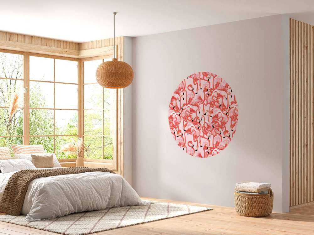 Exotic flamingos