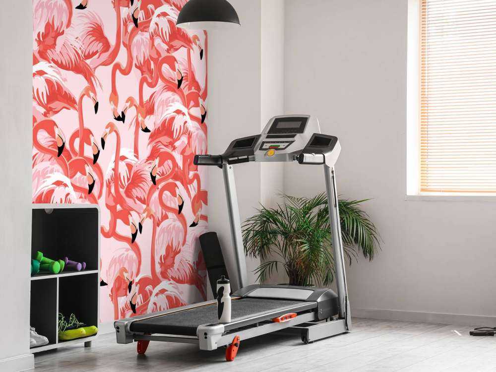 Exotic flamingos