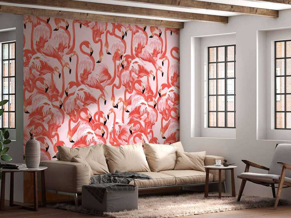 Exotic flamingos