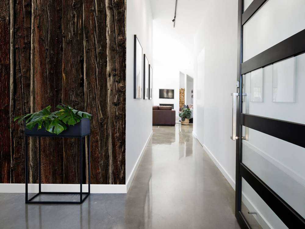 Rough wood with nails