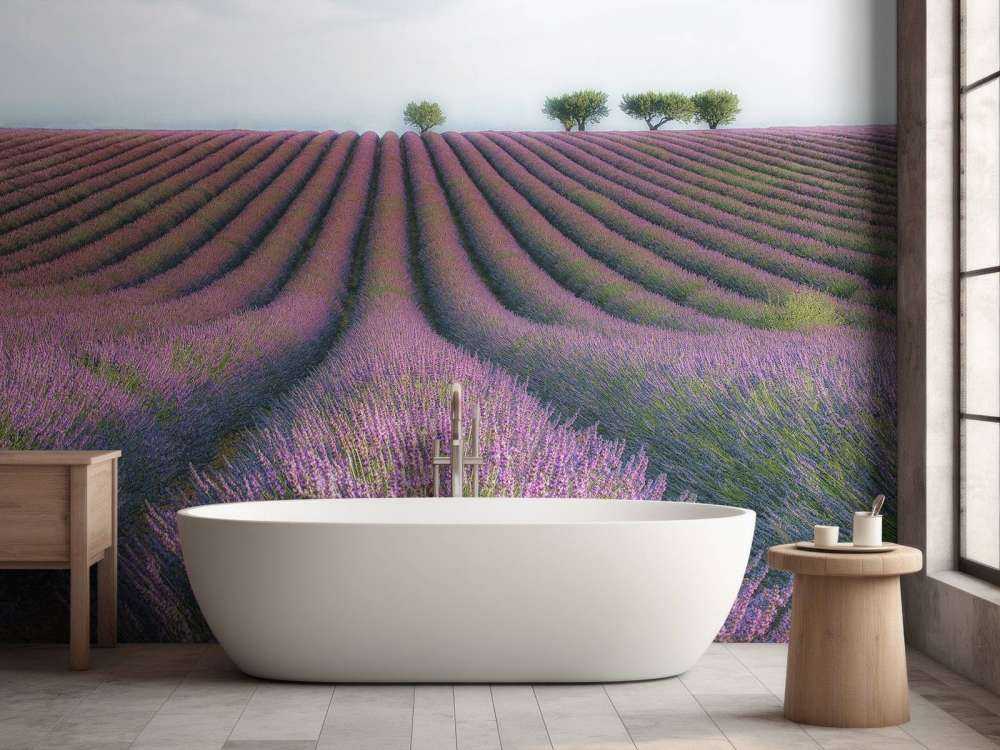 Velours de Lavender