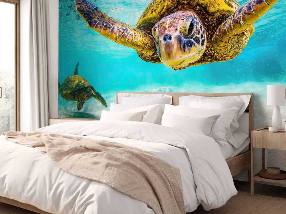 Sea turtle in the ocean