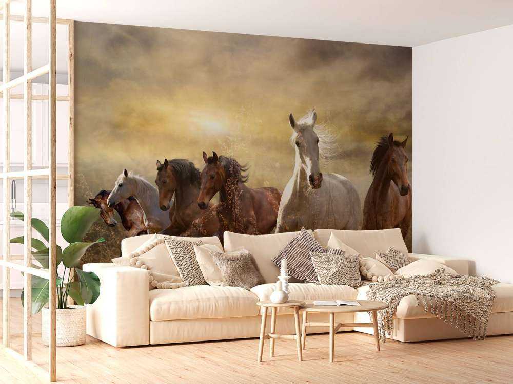 Galloping horses at sunset