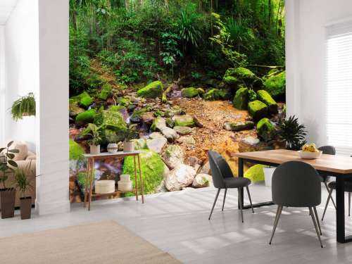 Rainforest