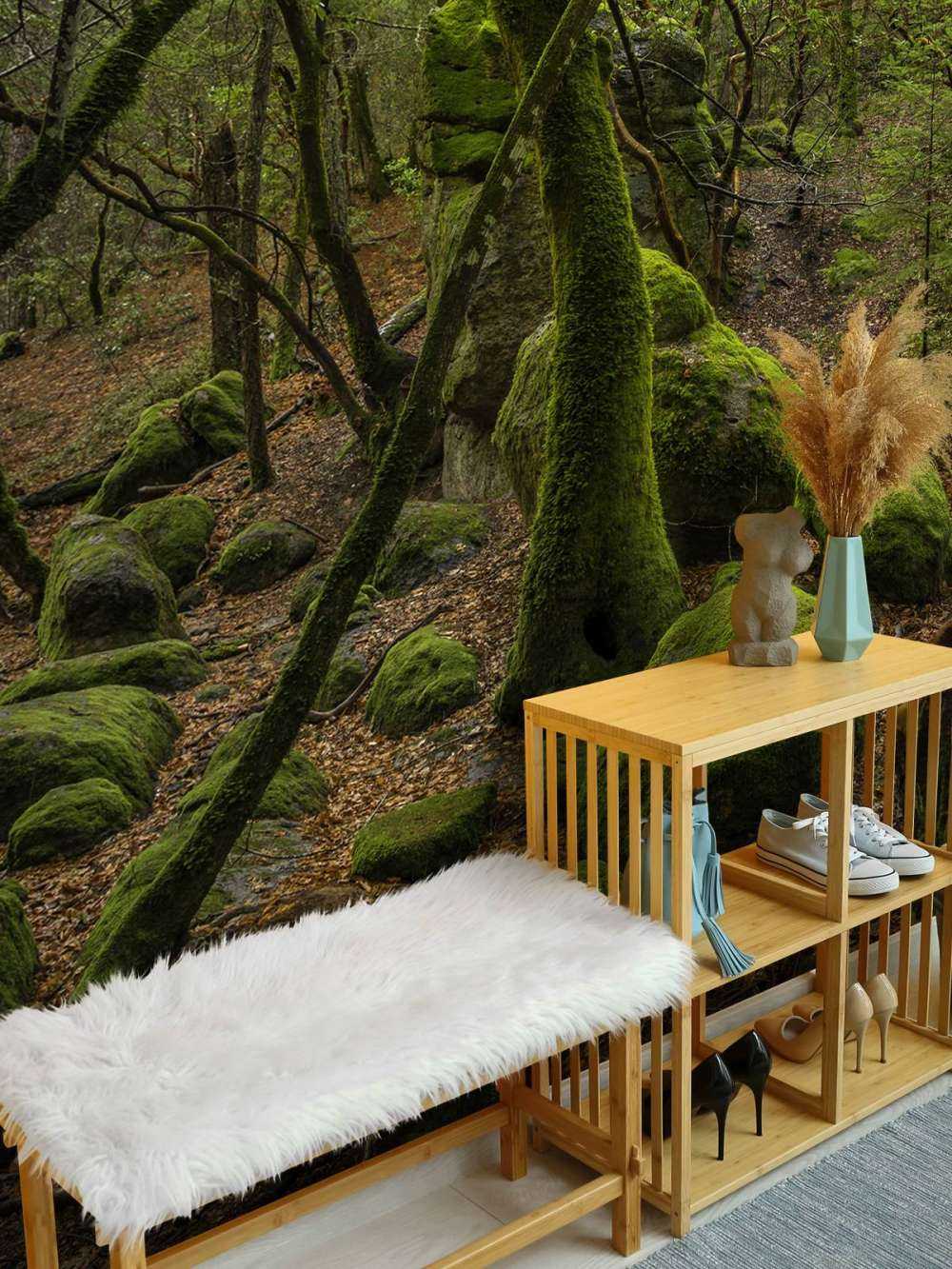 Trees and moss stones