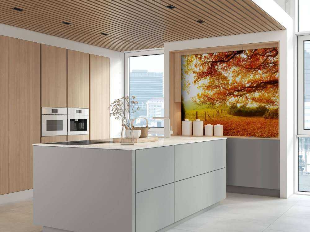 Autumn landscape with forest and meadow