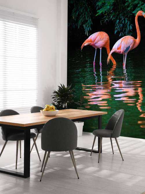 Two Caribbean flamingos