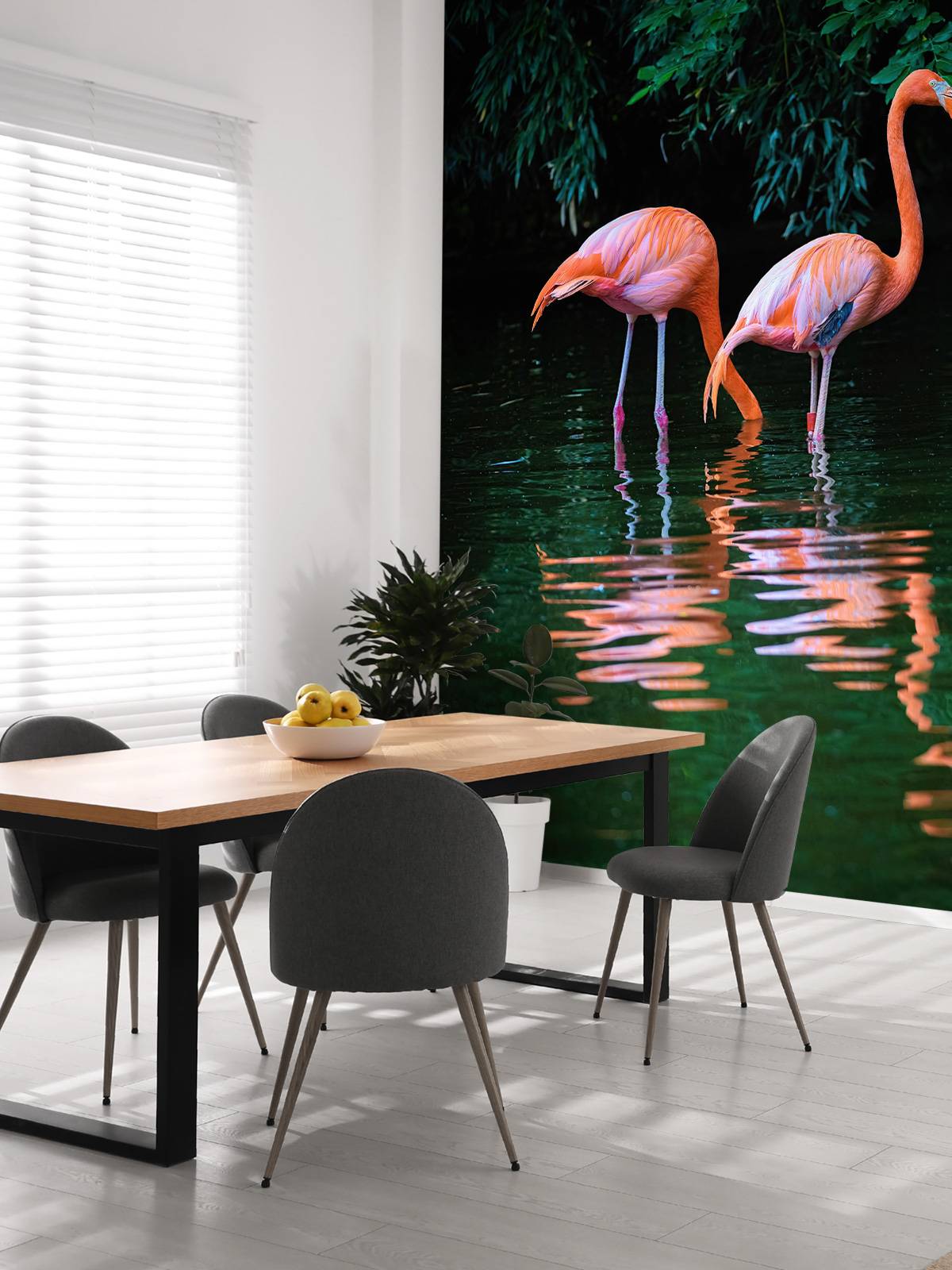 Two Caribbean flamingos