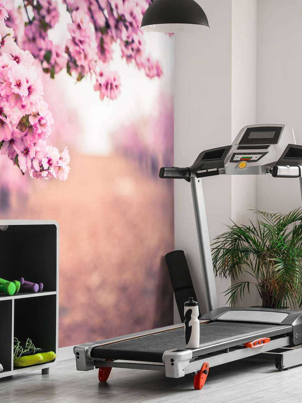 Purple Japanese blossoms