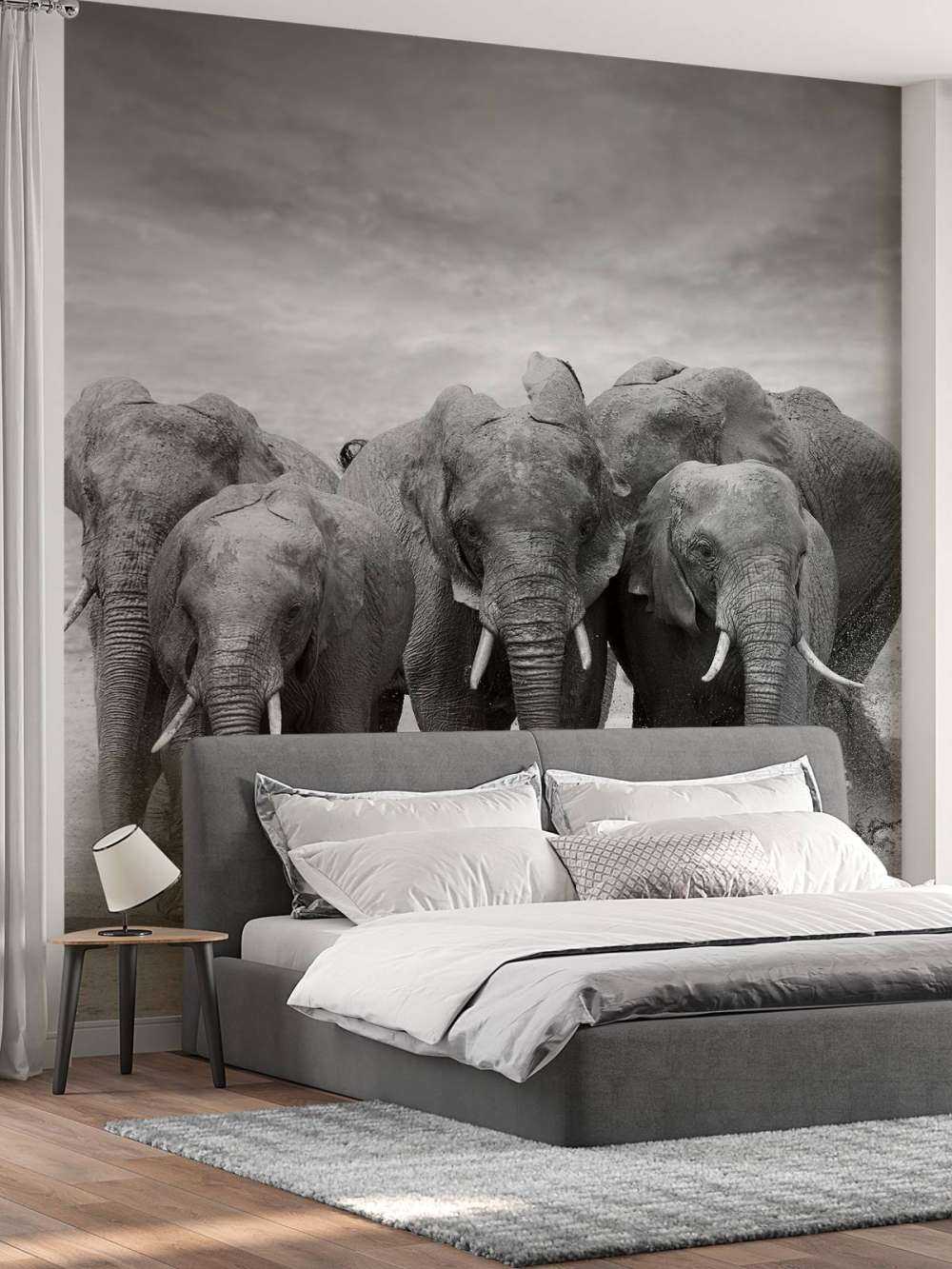 Herd of elephants