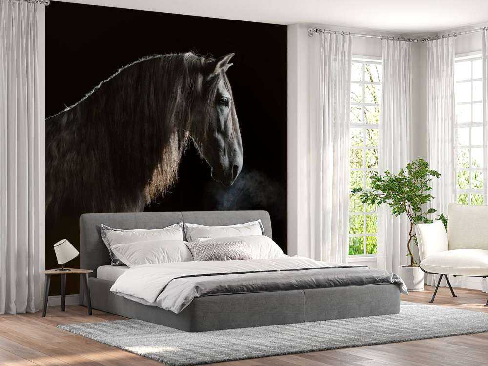 Mould with black background