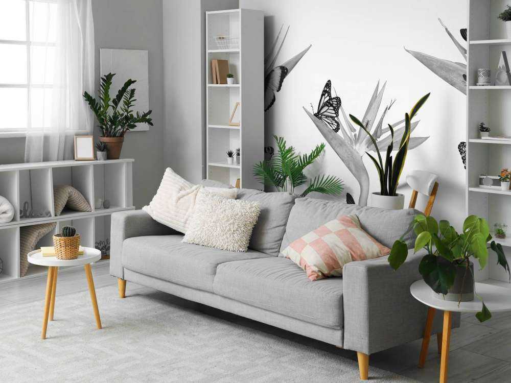 Butterflies on bird of paradise flowers