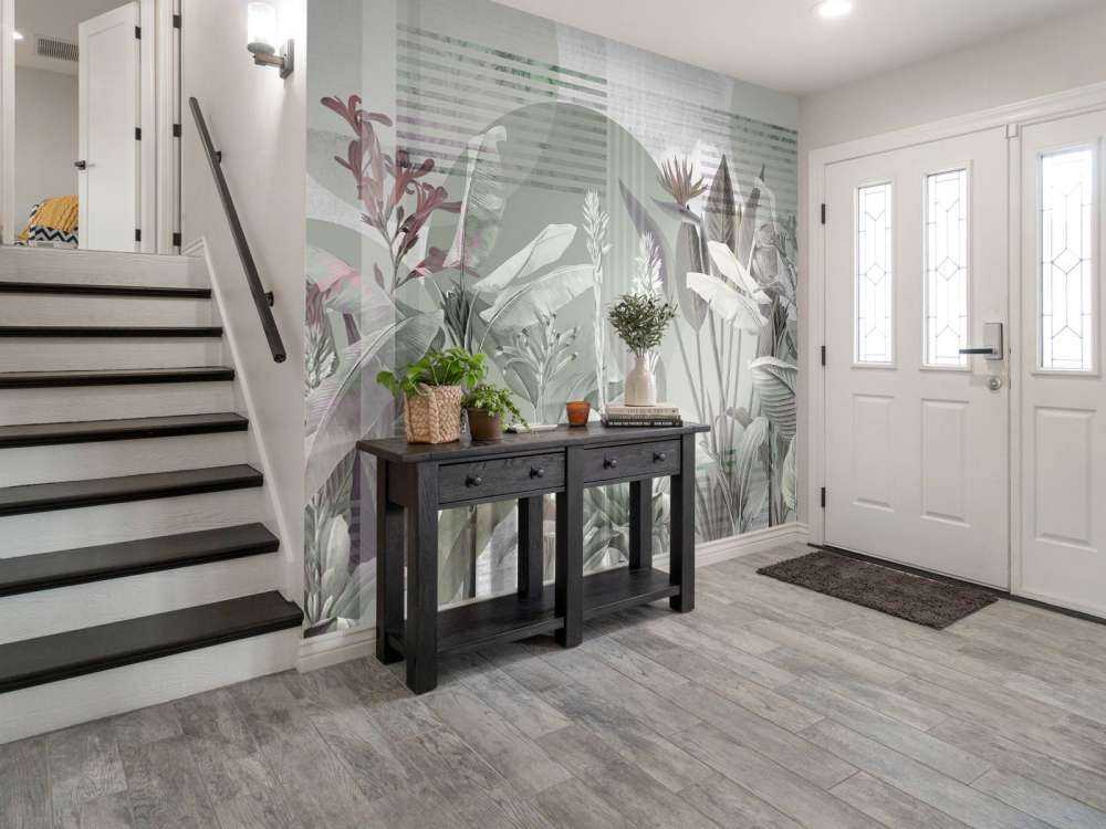 Dreams and Tropics 2