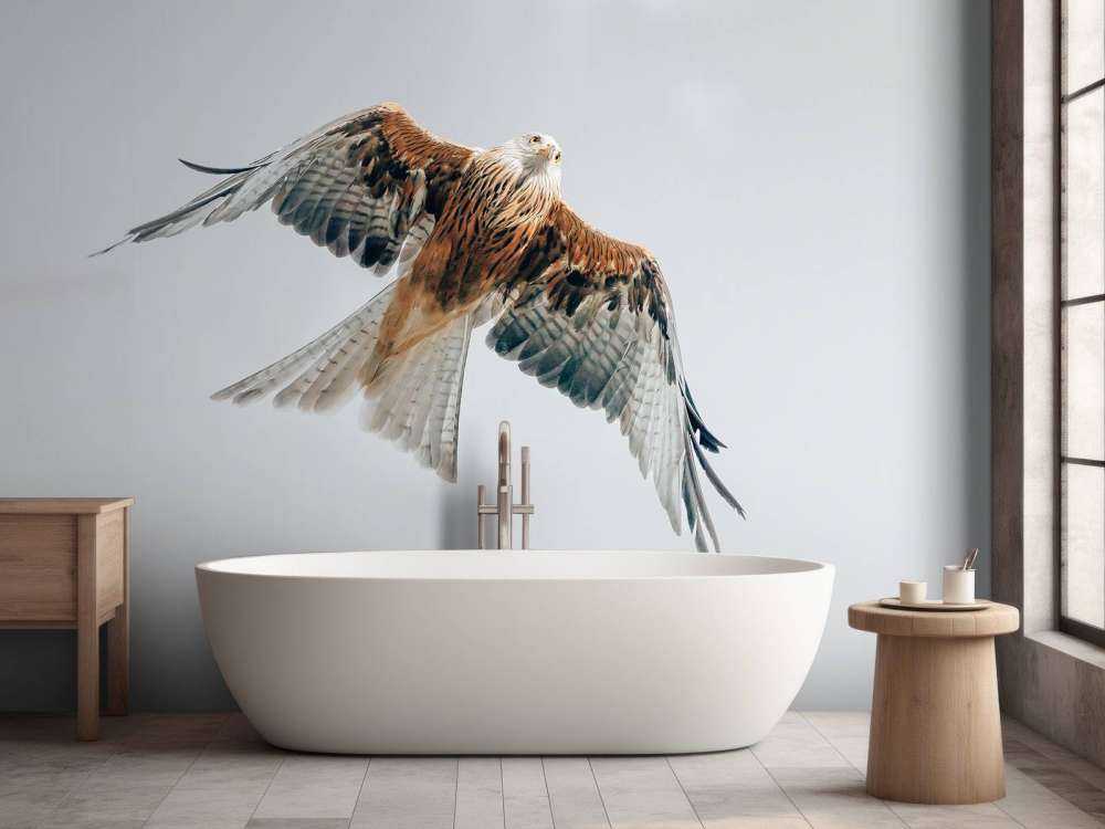 Red kite in the sky