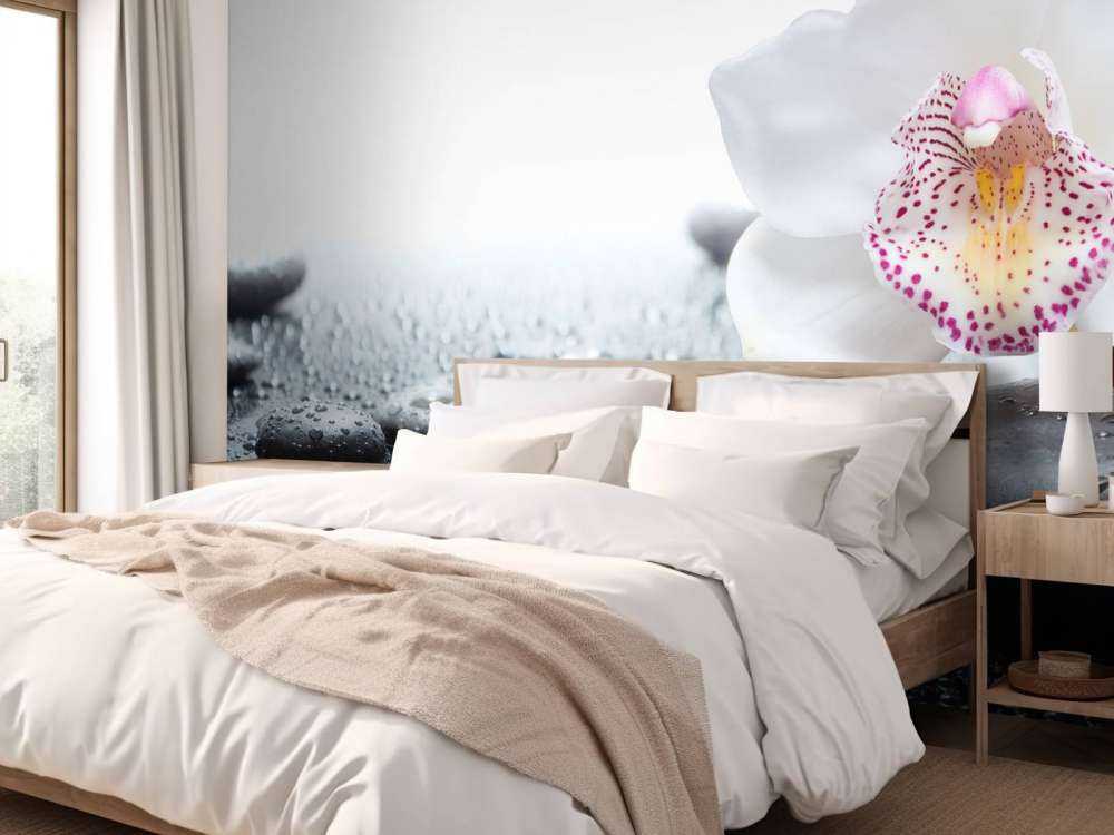 White orchid